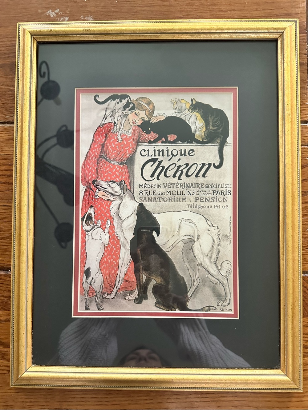 Clinique Chéron by Théophile-Alexandre Steinlen Art Nouveau Framed Print 14”x18”